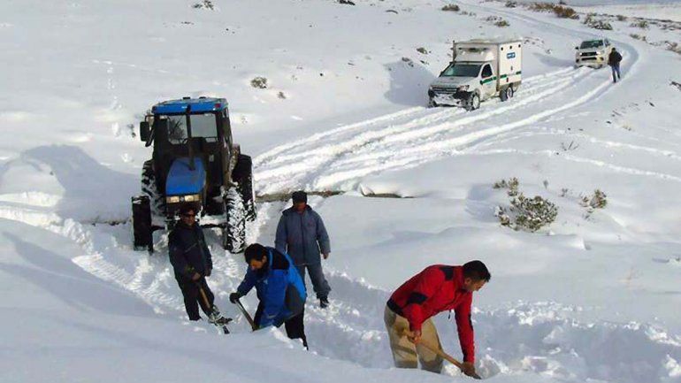 El gobierno provincial pidió ayuda a Nación para asistir a crianceros.&nbsp;