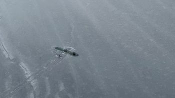 Uno de los voluntarios que inició la búsqueda fue Dale Eicher, quien registró el momento en que divisó a los sobrevivientes de la caída de la avioneta en Alaska. Uno de los voluntarios que inició la búsqueda fue Dale Eicher, quien registró el momento en que divisó a los sobrevivientes de la caída de la avioneta en Alaska.