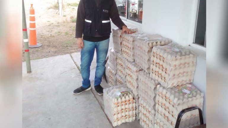 El insólito tráfico de huevos golpea a la región: Senasa secuestró 2800 docenas en cinco meses