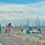 El vuelco se originó en la Ruta 237 entre Picún Leufú y El Chocón. | LM Neuquen El vuelco se originó en la Ruta 237 entre Picún Leufú y El Chocón.
