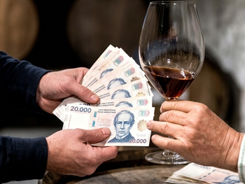 Patagonia tiene salarios provinciales más altos, pero carece de datos sectoriales específicos para bodegas.