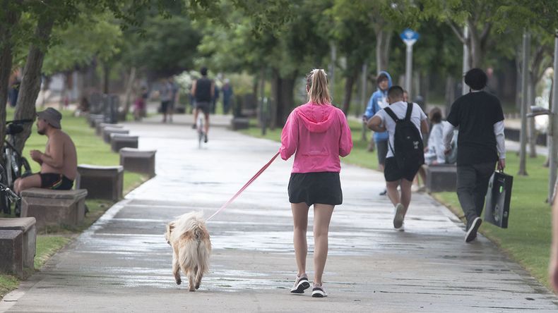 Conoce cuáles son los balnearios pet friendly para disfrutar con tus mascotas | LM Neuquen Conoce cuáles son los balnearios pet friendly para disfrutar con tus mascotas