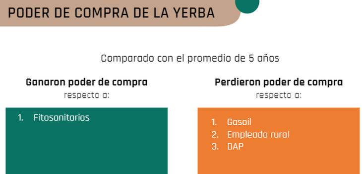 Yerba mate en alerta: el poder de compra del productor se desplom&oacute; 40% en cinco a&ntilde;os