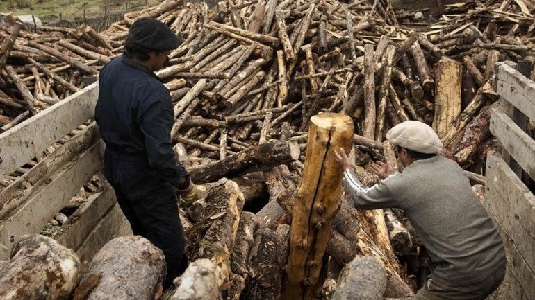 Operativo Leña: ya se invirtieron 29 millones de pesos en el reparto a familias sin gas