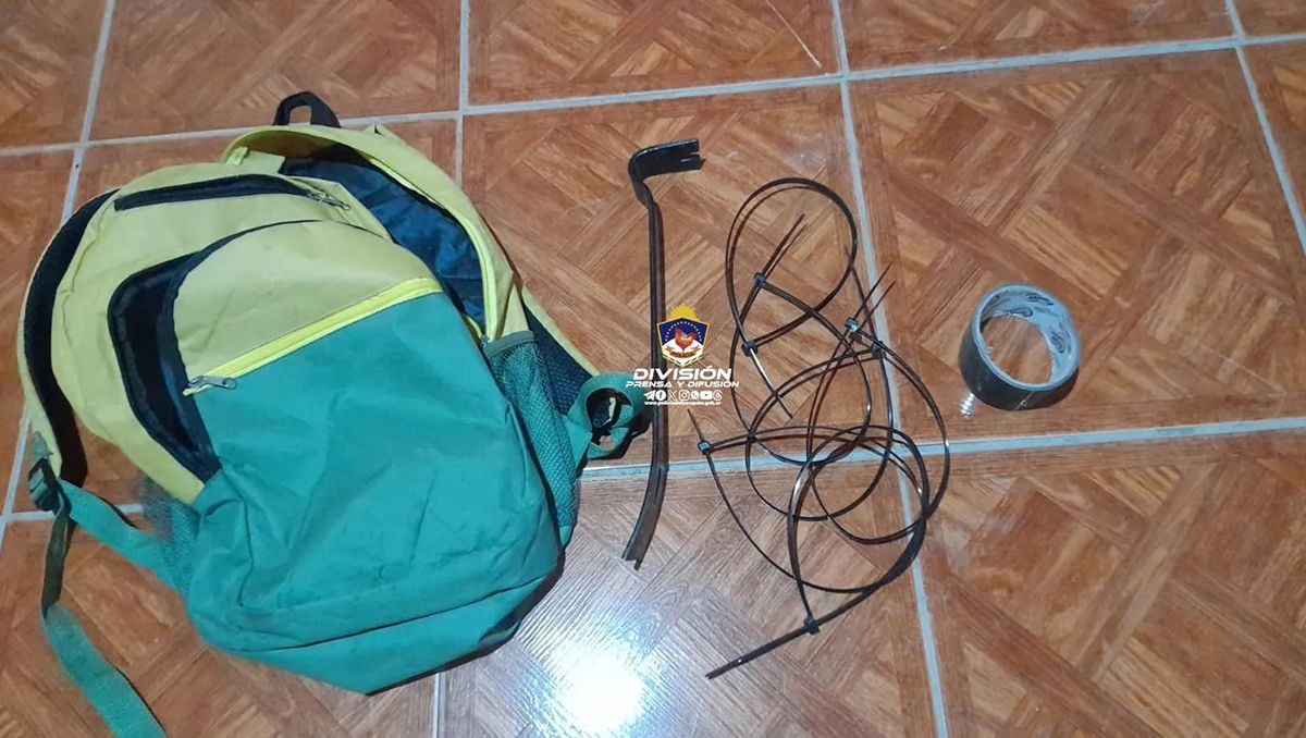 Maniataron y le robaron todo a una vecina: uno fue detenido