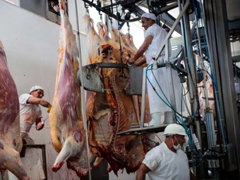 Marcha atrás con la medida. Trump busca bajar el precio de la carne en EE.UU.