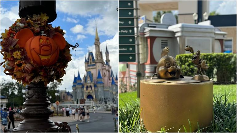 El paseo de Antonela Roccuzzo en Disney El paseo de Antonela Roccuzzo en Disney