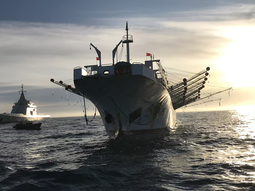 La Armada y Prefectura refuerzan la vigilancia aérea y satelital en el Atlántico Sur patagónico. La Armada y Prefectura refuerzan la vigilancia aérea y satelital en el Atlántico Sur patagónico.