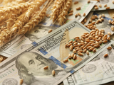 El valor de la producción agrícola perdió US$ 4.700 millones en los primeros dos meses del año debido a la drástica caída de los precios internacionales.