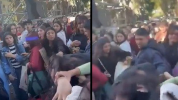 fans tini.png