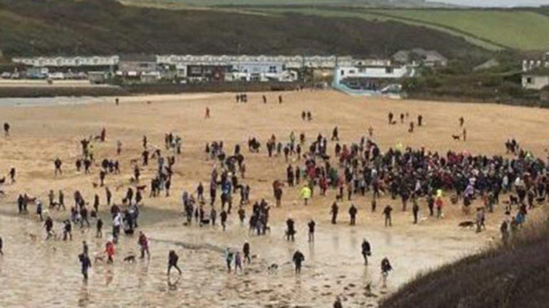 Pidió compañía antes de sacrificar a su perrito