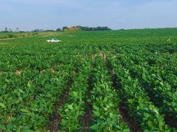 China actualmente compra granos y carnes a grandes proveedores como Brasil y Estados Unidos. China actualmente compra granos y carnes a grandes proveedores como Brasil y Estados Unidos.