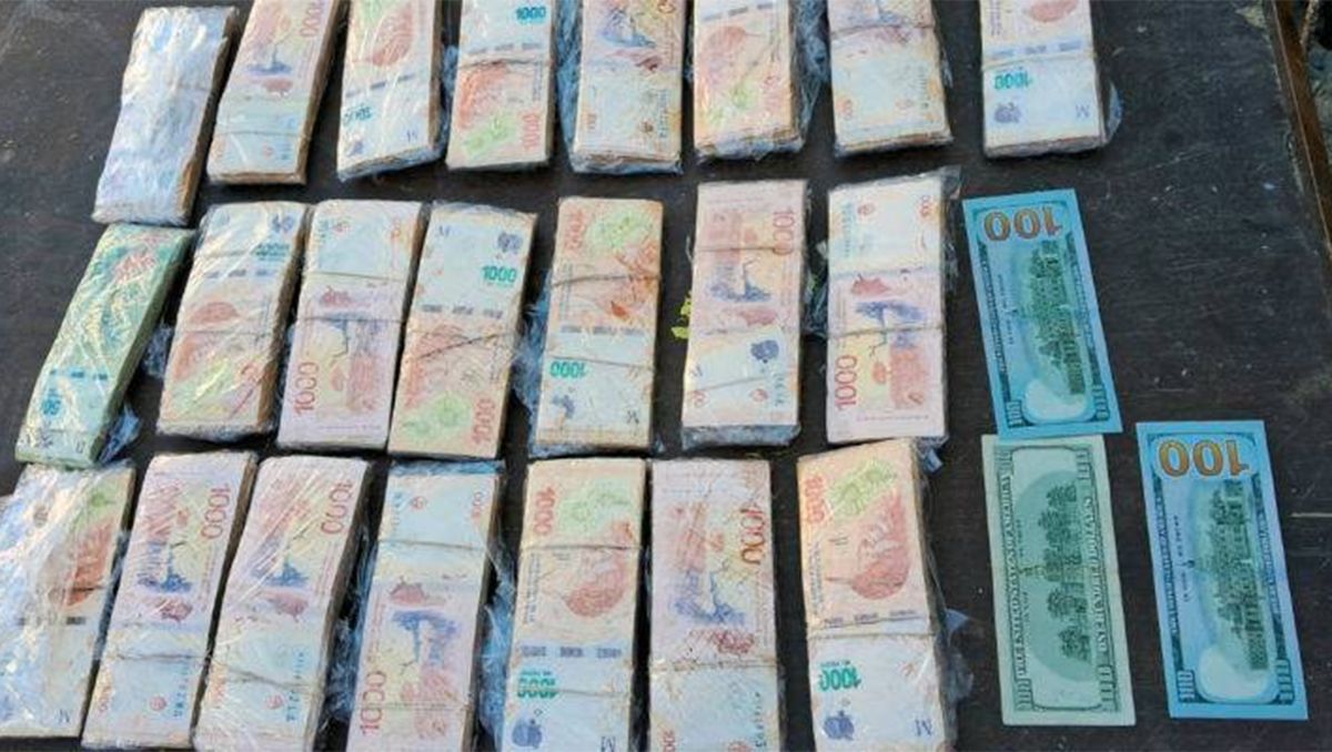 Encontraron más de 2 millones de pesos y dólares enterrados en el patio de una casa