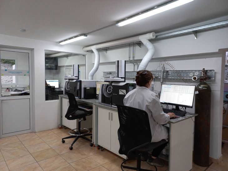 Se validan análisis del área animal como para el área vegetal. Se validan análisis del área animal como para el área vegetal.