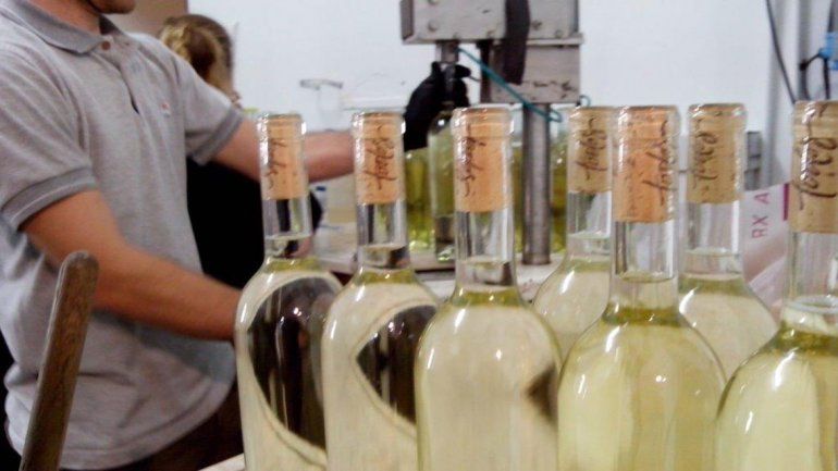 Se puede exportar vinos mediante una plataforma online