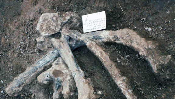 El homo erectus, que tiene casi dos millones de años, podría ser el primer humano en estas tierras. Los expertos estiman que aquellos primeros pobladores no serían homo sapiens, porque salieron de África hace entre 80.000 y 100.000 años.