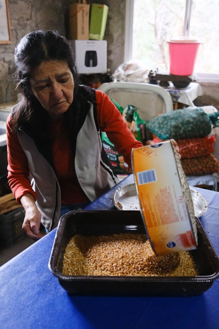 Teresa prepara el trigo para obtener mote. Teresa prepara el trigo para obtener mote.