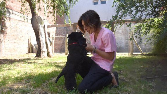 También ofrecen servicios de peluquería, paseos y asistencia veterinaria para que los dueños se vayan a descansar tranquilos.