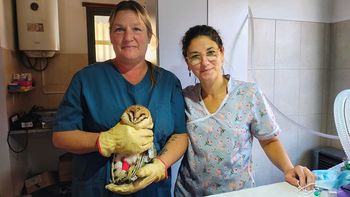 veterinaria Barbara Bartolomé (1).jpg