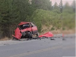 La víctima fatal había decidido autoevacuarse junto a sus perros, tras combatir los incendios en Puerto Patriada. La víctima fatal había decidido autoevacuarse junto a sus perros, tras combatir los incendios en Puerto Patriada.