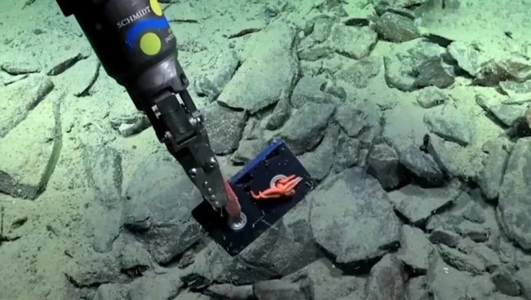 Cuándo es la nueva expedición del Conicet que recorrerá lugares nunca vistos del océano.