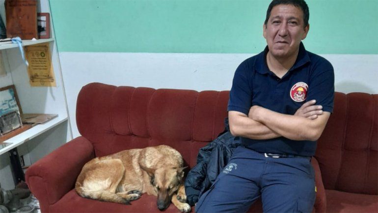 La perra, Roma, volvió con su adiestrador.