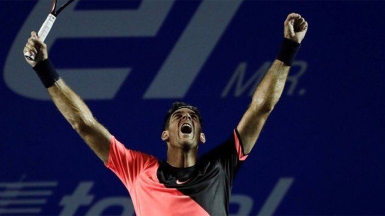 Del Potro venció a Anderson y se consagró campeón en Acapulco