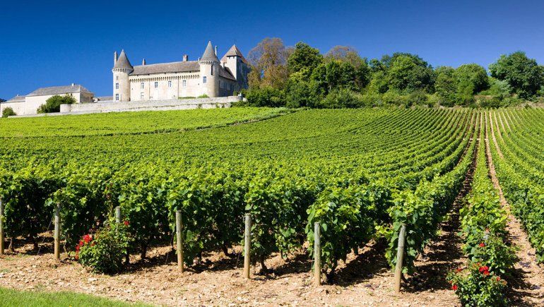 La otra Europa que hoy inspira a los enólogos