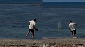El video donde el turista le lanza una piedra a una foca fue registrado frente a la costa de Lahaina, en Hawaii El video donde el turista le lanza una piedra a una foca fue registrado frente a la costa de Lahaina, en Hawaii
