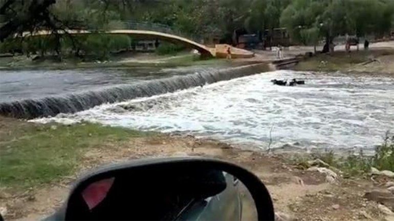 Salvaron a un abuelo y a un perro que habían quedado atrapados en un río