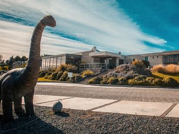 Durante la construcción de la Bodega Familia Schroeder, en Neuquén, hallaron restos de un dinosaurio. Y se convirtió en emblema de la bodega.