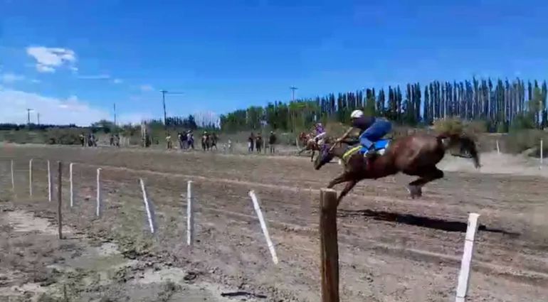 El momento de la caída que le ocasionó la muerte al jockey y al caballo.