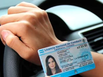 Renovar la Licencia de conducir en Río Negro: ¿Qué cambios y precios hay? (Foto: argentina.gob.ar).