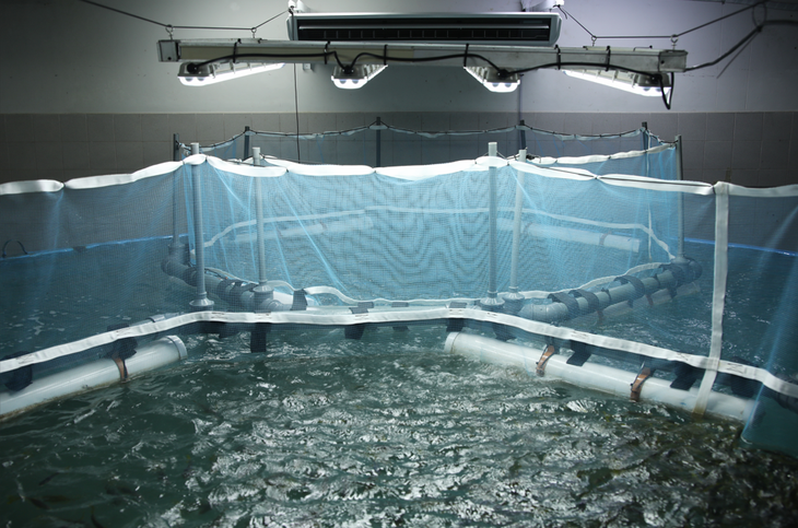 El INIDEP es el principal organismo de investigación pesquera del Estado nacional argentino. El INIDEP es el principal organismo de investigación pesquera del Estado nacional argentino.