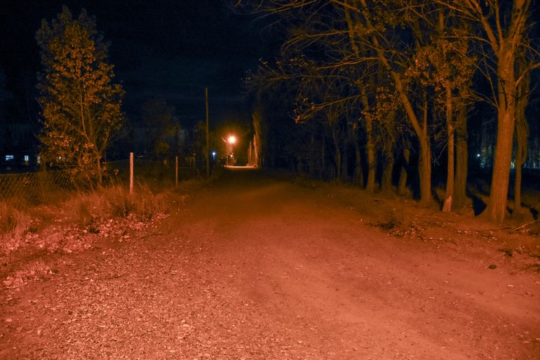 Polémica por la calle Javier Milei en Plottier: invitan a los vecinos a elegir un nombre