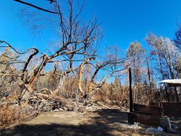 Todas las instalaciones fueron arrasadas por el fuego en el establecimiento del productor Jorge Fusswinkel. (Foto: Gentileza Fabricio González). Todas las instalaciones fueron arrasadas por el fuego en el establecimiento del productor Jorge Fusswinkel. (Foto: Gentileza Fabricio González).