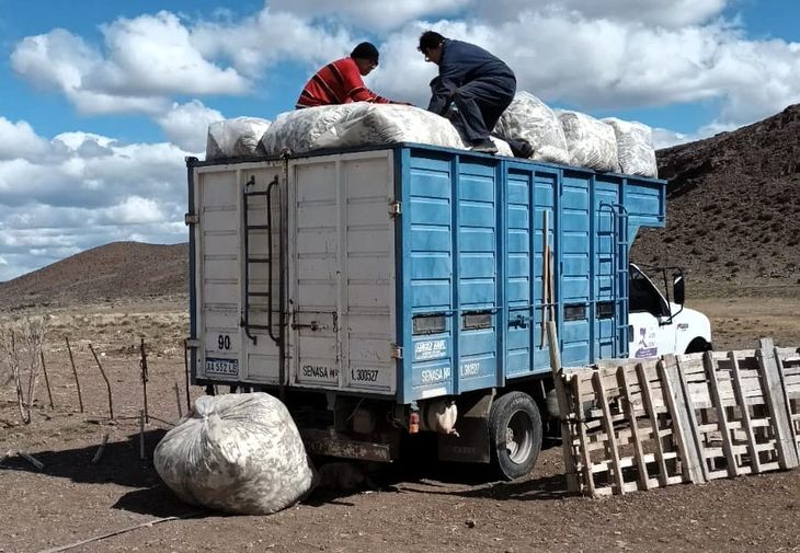 Ahora los productores disponen de recursos para la próxima esquila. Foto: Fabricio González. Ahora los productores disponen de recursos para la próxima esquila. Foto: Fabricio González.