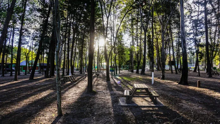 Acampar en el Alto Valle: algunas opciones y precios en los alrededores de Neuquén