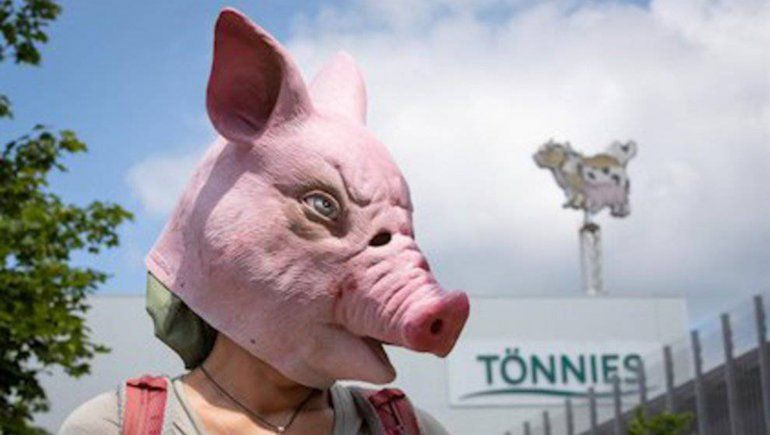 El brote en el matadero alemán supera los 1300 trabajadores contagiados