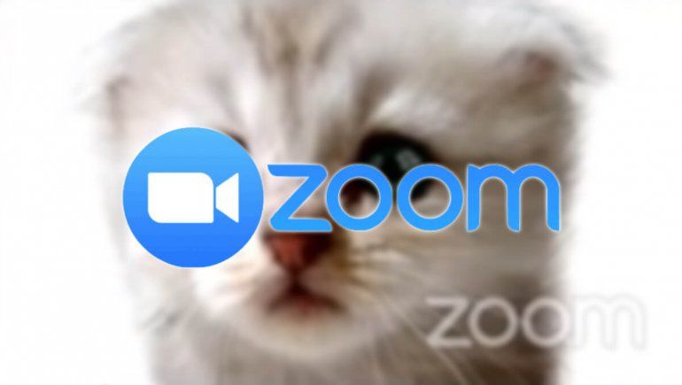 Zoom: aprendé cómo activar o desactivar los filtros
