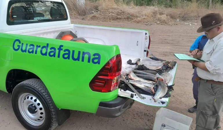 Secuestraron 50 truchas arcoíris y elementos de pesca en Villa Meliquina