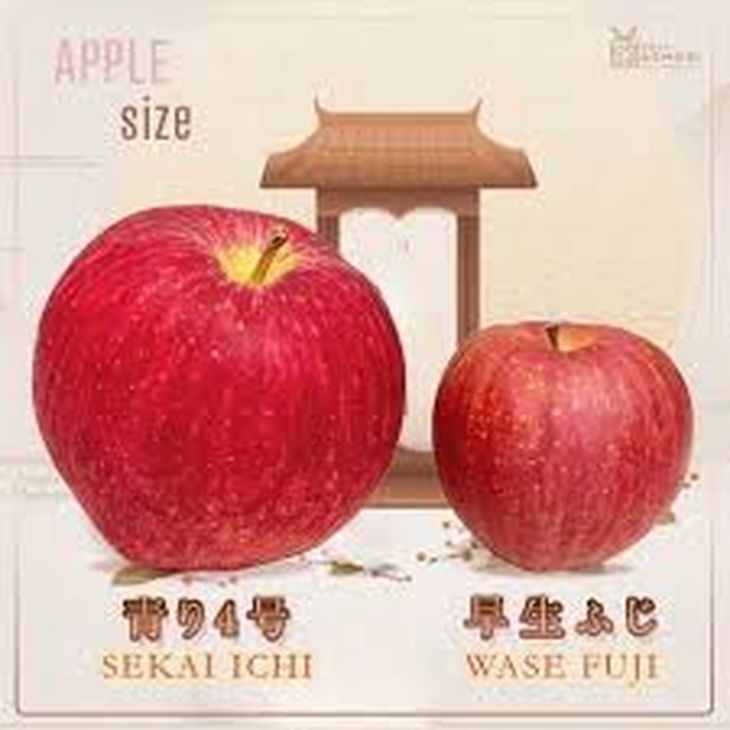 Esta variedad de manzana gigante más que duplica en tamaño a las tradicionales. Esta variedad de manzana gigante más que duplica en tamaño a las tradicionales.