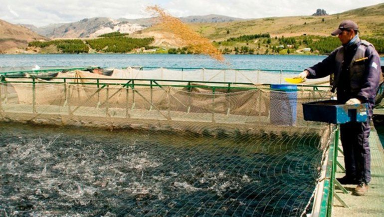 El embalse Alicurá mantiene el máximo estatus sanitario