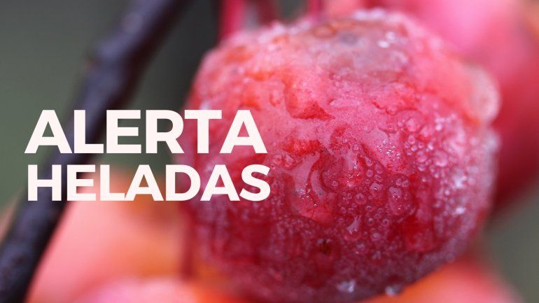 Llegó #AlertaHeladas, un nuevo servicio de LMNeuquén, Más Producción y LU5