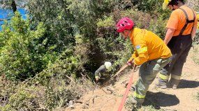 La vegetación impidió que un auto cayera al lago Lácar tras despistarse en Ruta 40