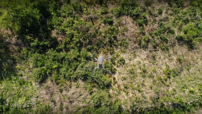 Parques nacionales de Neuquén suman drones para detectar incendios
