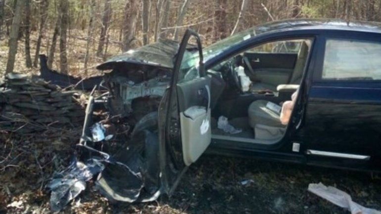 Vio una araña, entró en pánico y estrelló su auto