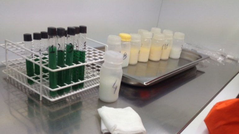 Los donativos permitieron procesar el material y obtener diez litros.