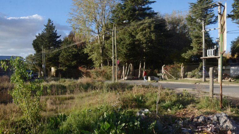 Multarán a los dueños de baldíos abandonados