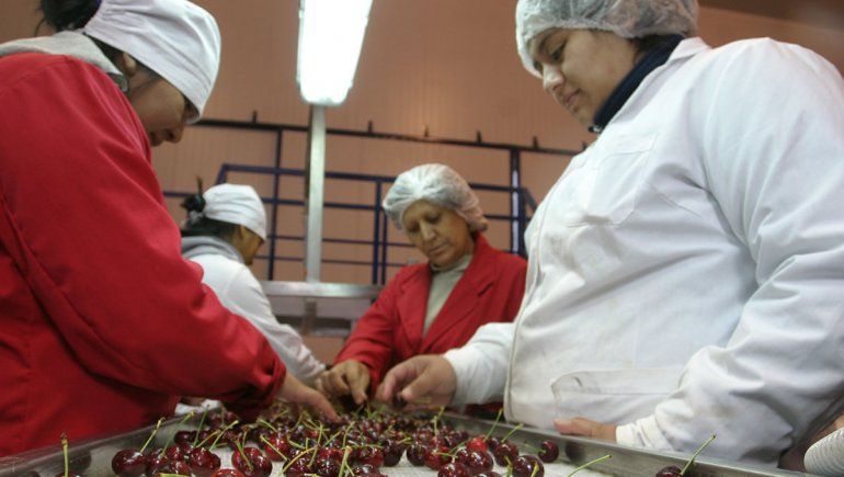 Llegan inspectores chinos para certificar la fruta local